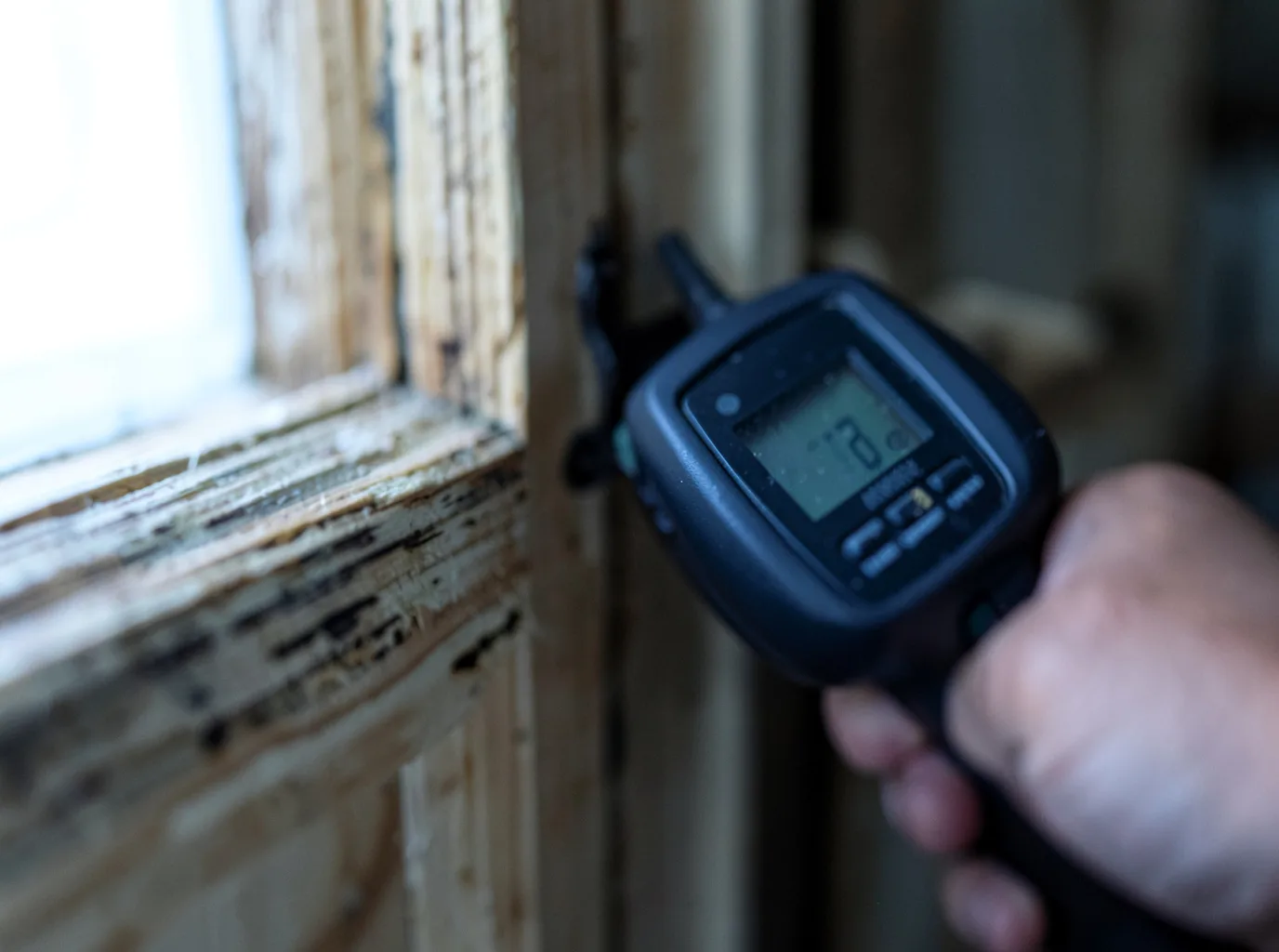 Moisture Inspection And Documentation in Neptune, NJ